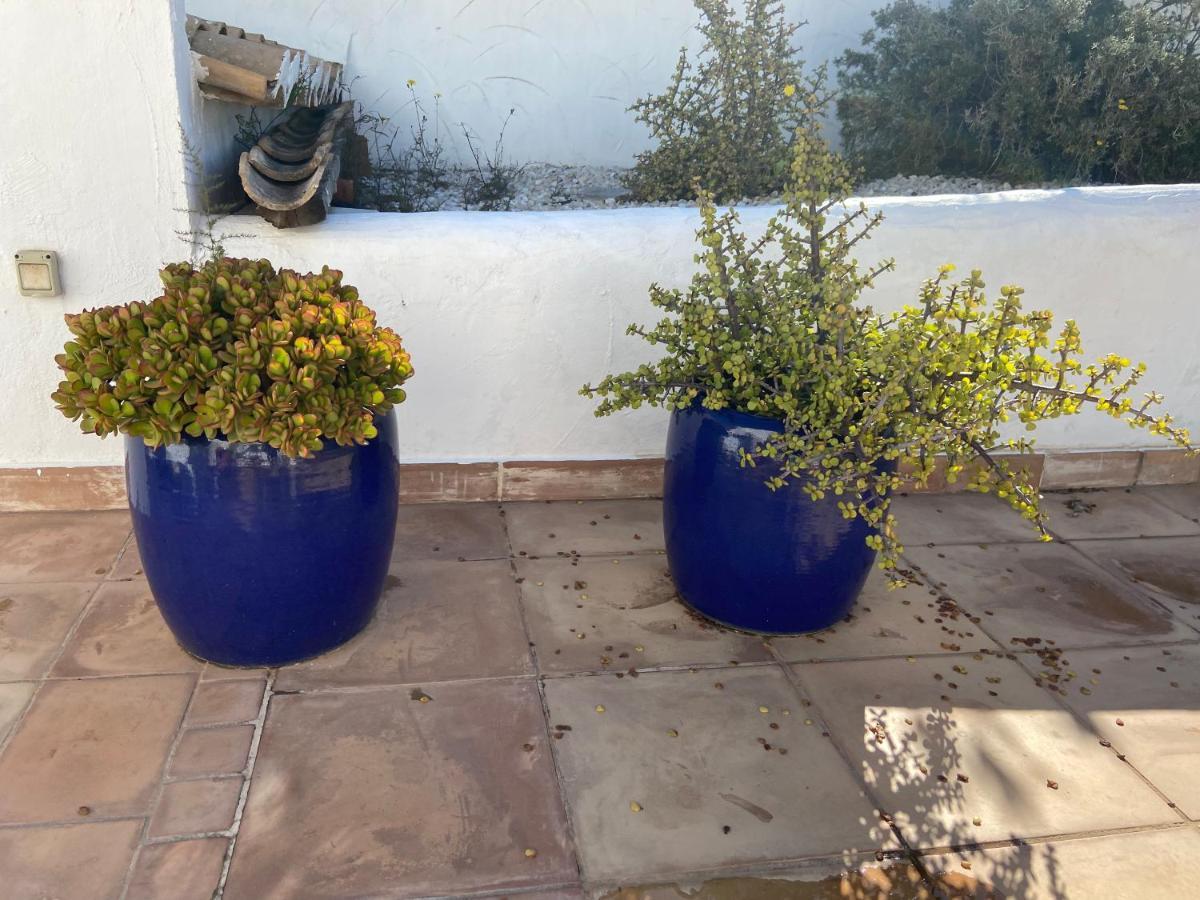 Javea Villa Entiere Piscine Et Cuisine D'Ete A Pinosol 外观 照片